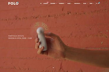 Polo Web Design
