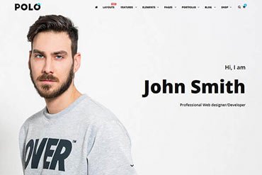 Polo Developer