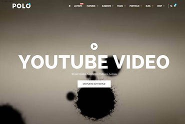 Polo YouTube Background